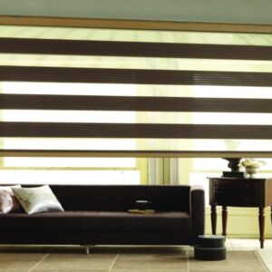 zebra blinds in Delhi